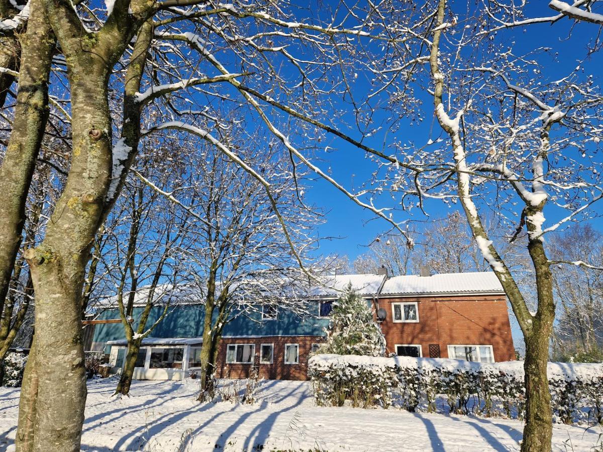 Ferienwohnung Sort Sol Grellsbuelldeich 7 Aventoft Dış mekan fotoğraf
